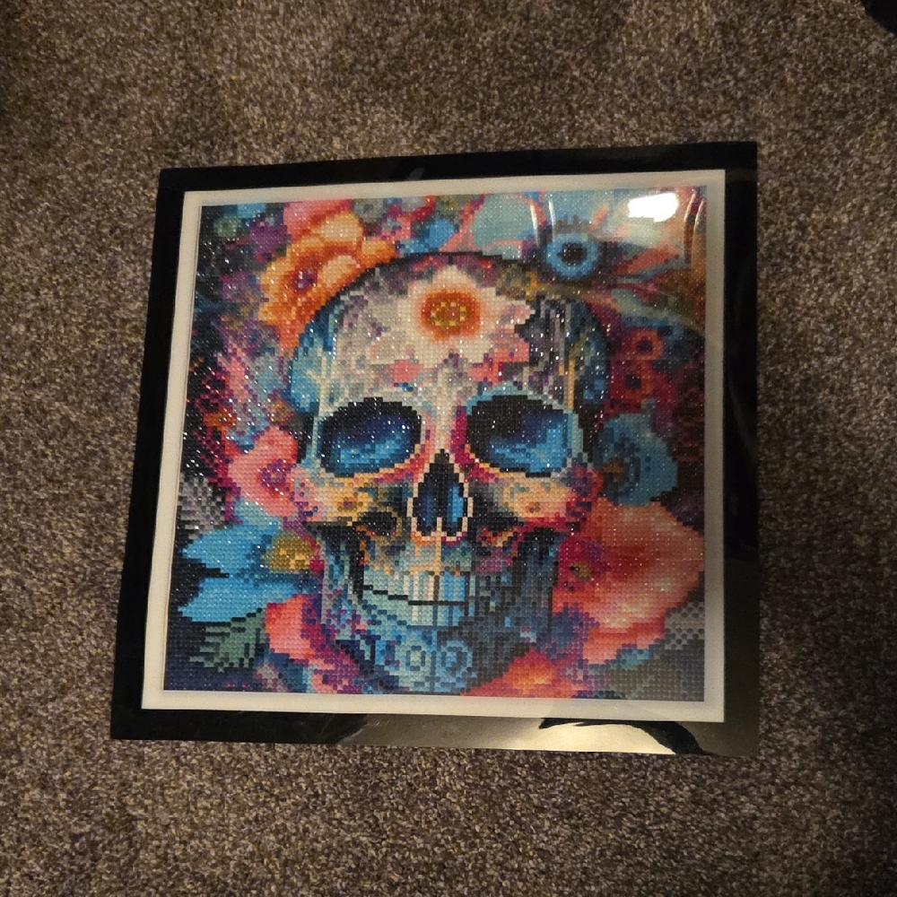 Colorful Skull Art in Black Frame